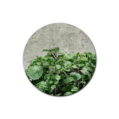 Plants Against Concrete Wall Background Rubber Coaster (Round) 