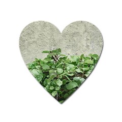 Plants Against Concrete Wall Background Heart Magnet