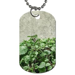 Plants Against Concrete Wall Background Dog Tag (one Side) by dflcprints