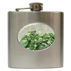 Plants Against Concrete Wall Background Hip Flask (6 oz)