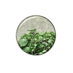 Plants Against Concrete Wall Background Hat Clip Ball Marker