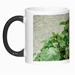 Plants Against Concrete Wall Background Morph Mugs