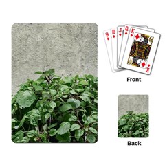 Plants Against Concrete Wall Background Playing Card