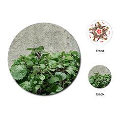 Plants Against Concrete Wall Background Playing Cards (Round) 