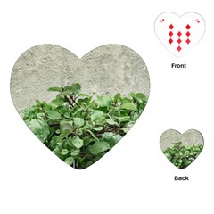 Plants Against Concrete Wall Background Playing Cards (Heart) 