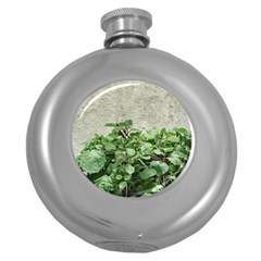 Plants Against Concrete Wall Background Round Hip Flask (5 oz)