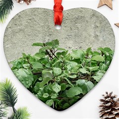 Plants Against Concrete Wall Background Heart Ornament (Two Sides)