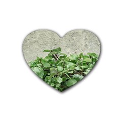 Plants Against Concrete Wall Background Rubber Coaster (Heart) 