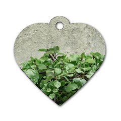 Plants Against Concrete Wall Background Dog Tag Heart (one Side) by dflcprints