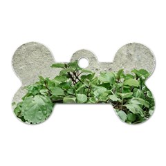 Plants Against Concrete Wall Background Dog Tag Bone (One Side)