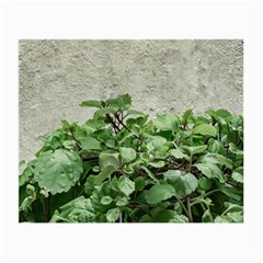 Plants Against Concrete Wall Background Small Glasses Cloth (2-Side)