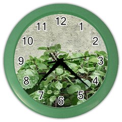 Plants Against Concrete Wall Background Color Wall Clocks