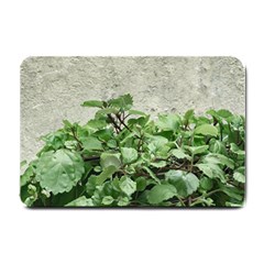 Plants Against Concrete Wall Background Small Doormat 