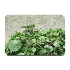 Plants Against Concrete Wall Background Plate Mats