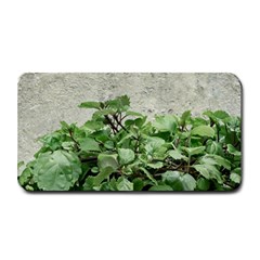 Plants Against Concrete Wall Background Medium Bar Mats