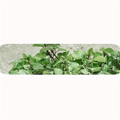 Plants Against Concrete Wall Background Large Bar Mats