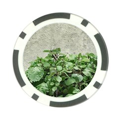 Plants Against Concrete Wall Background Poker Chip Card Guard