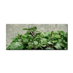 Plants Against Concrete Wall Background Cosmetic Storage Cases