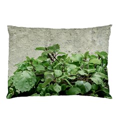 Plants Against Concrete Wall Background Pillow Case