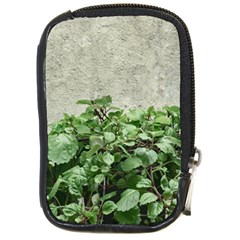 Plants Against Concrete Wall Background Compact Camera Cases by dflcprints