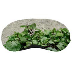 Plants Against Concrete Wall Background Sleeping Masks