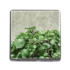 Plants Against Concrete Wall Background Memory Card Reader (Square)