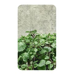 Plants Against Concrete Wall Background Memory Card Reader