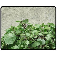 Plants Against Concrete Wall Background Fleece Blanket (Medium) 