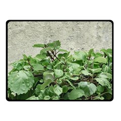 Plants Against Concrete Wall Background Fleece Blanket (Small)