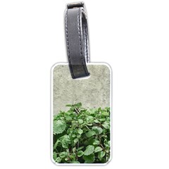 Plants Against Concrete Wall Background Luggage Tags (One Side) 