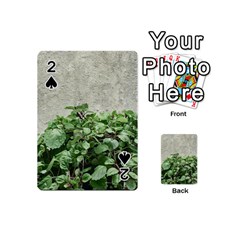 Plants Against Concrete Wall Background Playing Cards 54 (Mini) 