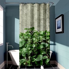 Plants Against Concrete Wall Background Shower Curtain 36  x 72  (Stall) 