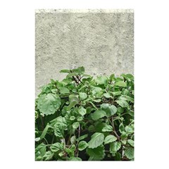 Plants Against Concrete Wall Background Shower Curtain 48  X 72  (small)  by dflcprints