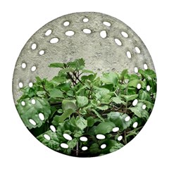 Plants Against Concrete Wall Background Ornament (Round Filigree)