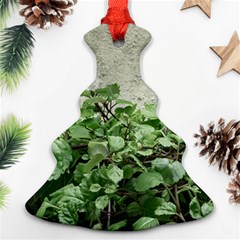 Plants Against Concrete Wall Background Christmas Tree Ornament (Two Sides)