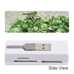 Plants Against Concrete Wall Background Memory Card Reader (Stick) 