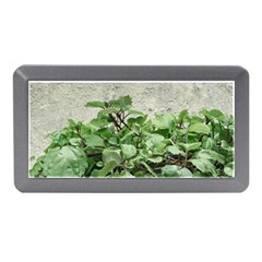 Plants Against Concrete Wall Background Memory Card Reader (Mini)