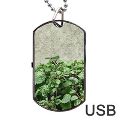 Plants Against Concrete Wall Background Dog Tag USB Flash (One Side)