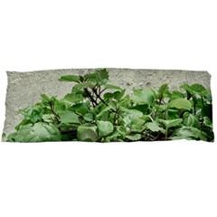 Plants Against Concrete Wall Background Body Pillow Case Dakimakura (Two Sides)