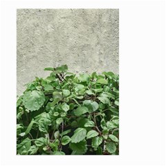 Plants Against Concrete Wall Background Large Garden Flag (Two Sides)