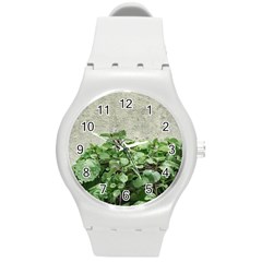 Plants Against Concrete Wall Background Round Plastic Sport Watch (m) by dflcprints