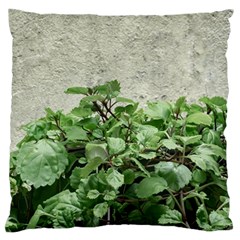 Plants Against Concrete Wall Background Large Cushion Case (One Side)