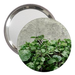 Plants Against Concrete Wall Background 3  Handbag Mirrors