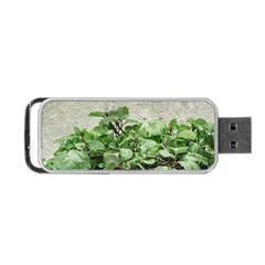 Plants Against Concrete Wall Background Portable USB Flash (One Side)