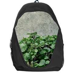 Plants Against Concrete Wall Background Backpack Bag