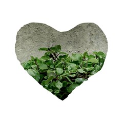 Plants Against Concrete Wall Background Standard 16  Premium Heart Shape Cushions