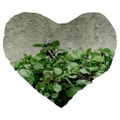 Plants Against Concrete Wall Background Large 19  Premium Heart Shape Cushions