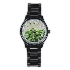 Plants Against Concrete Wall Background Stainless Steel Round Watch