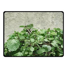 Plants Against Concrete Wall Background Double Sided Fleece Blanket (Small) 