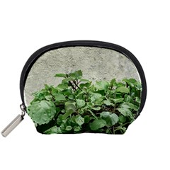 Plants Against Concrete Wall Background Accessory Pouches (Small) 